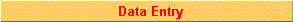 Preview of Data Entry