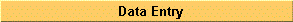 Preview of Data Entry